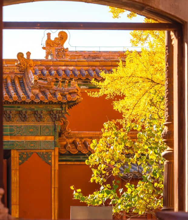 北京赏秋指南：2024北京旅游最佳路线五日游全程干星空体育平台·app货分享给大家(图7)